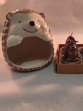 A ceramic hedgehog dish scrubby holder from Robert Stanley Signature Collection